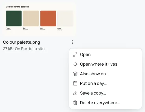 The File options menu open from the ⋮ button beside a picture's name: Open, Open where it lives, Also show on, Put on a day, Save a copy and Delete everywhere.